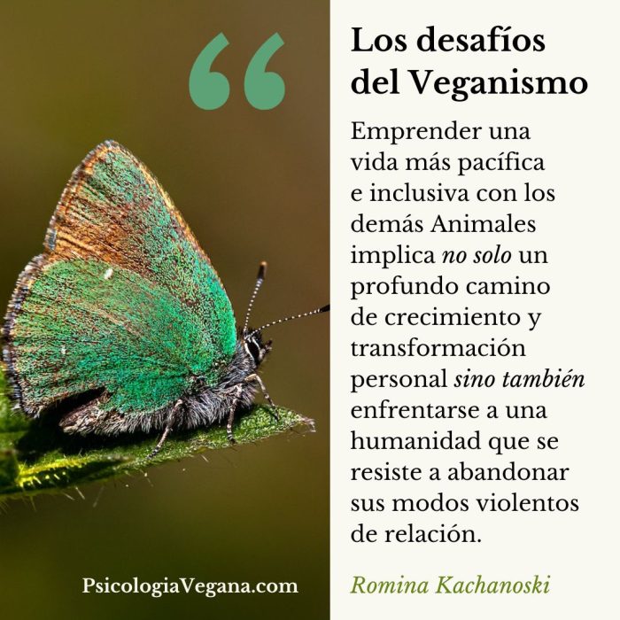 Los desafíos del Veganismo. Emprender una vida más pacífica e inclusiva con los demás Animales implica no solo un profundo camino de cremiento y transformación personal sino también enfrentarse a una humanidad que se resiste a abandonar sus modos violentos de relación. Romina Kachanoski, Psicología Vegana