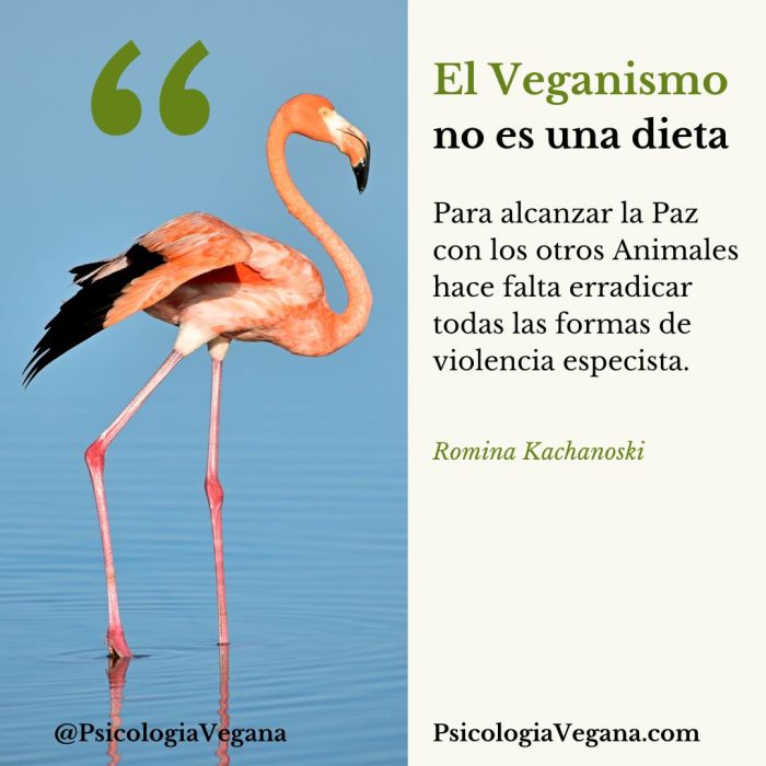 El Veganismo no es una dieta. Para alcanzar la Paz con los otros Animales hace falta erradicar todas las formas de violencia especista. Romina Kachanoski, Psicología Vegana