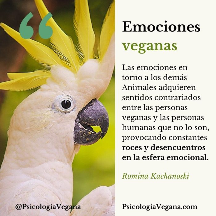 Las emociones en torno a los demás Animales adquieren sentidos contrariados entre las personas veganas y las personas humanas que no lo son, provocando constantes roces y desencuentros en la esfera emocional. Romina Kachanoski, Psicología Vegana.